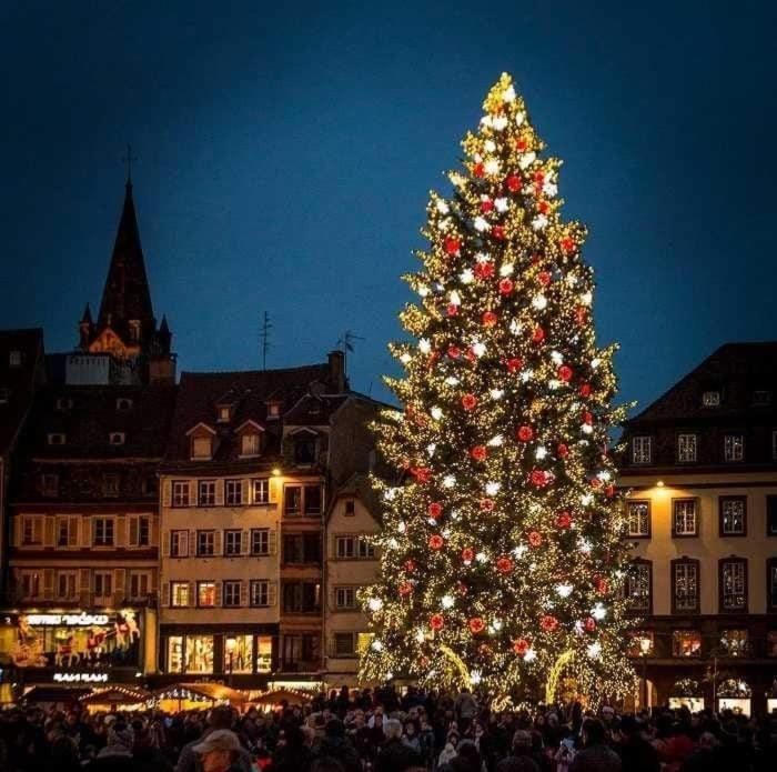 Gites Spa Strasbourg - Villa Ours - Spa Prive, Sauna, Borne D'Arcade, Babyfoot Ittenheim Kültér fotó